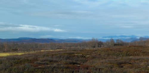 New Research From Arctic: Thawing Permafrost Peatlands May Add to Atmospheric Co2 Burden