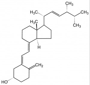 D2 molecule (Ergocalciferol)