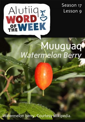Alutiiq Word of the Week, August 24th, 2014