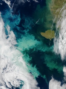 As sea ice retreats in summer, more sunlight reaches the upper layers of the sea, triggering increased blooms of phytoplankton such as here in the Bering Sea this fall. (Credit: NASA)