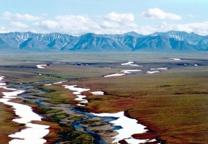 Area of the Arctic National Wildlife Refuge coastal plain, looking south toward the Brooks Range mountains. Image-USFWS