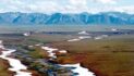 Congressionally mandated lease sale announced for Alaska’s Coastal Plain