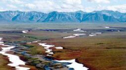 Congressionally mandated lease sale announced for Alaska’s Coastal Plain