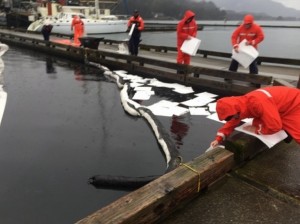 Coast Guard personnel from Sector Juneau lay absorbent pads into the water to absorb spilled petroleum products at Auke Bay Harbor in Auke Bay, Alaska, Feb. 23, 2015. Coast Guard and Alaska Department of Environmental Conservation members are investigating the cause of the spill. (U.S. Coast Guard photo by Petty Officer 3rd Class Lewis Beck)