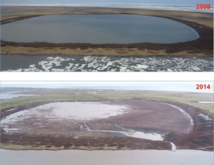 A lake on the shore of the Beaufort Sea that drained on July 5, 2014. Images courtesy of Ben Jones.