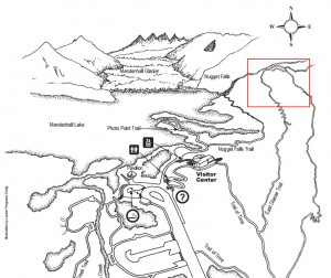 A search ensued after hikers on the East Glacier Trail (red square) near Nugget Falls heard an unidentified male voice yelling for help. Image-Mendenhall Glacier Visitor's Center map