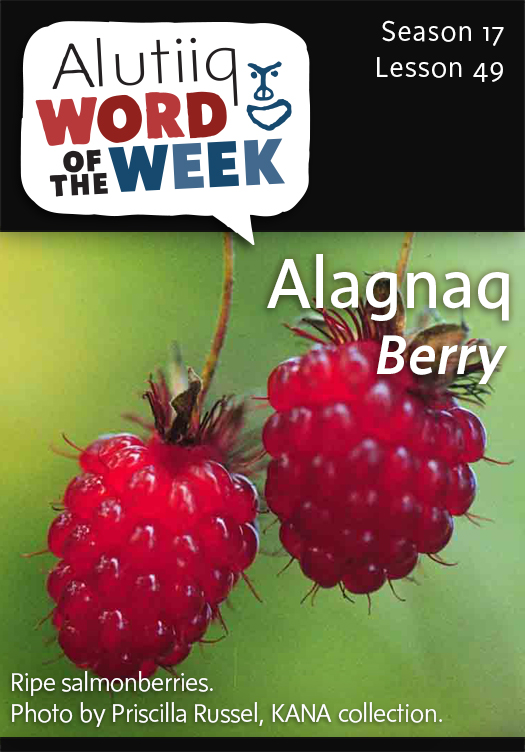 Berry-Alutiiq Word of the Week-May 31