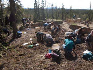 Students working at the Mead Site in Interior Alaska with archaeologist Chuck Holmes, who is at far left. Ben Potter