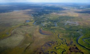 One of the many tributaries to the Upper Nushagak River.Sean Brennan, UW