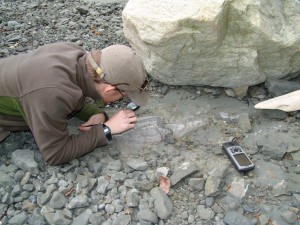 Adam Huttenlocker, then a UW graduate student and Burke Museum paleontologist, examines the first dinosaur fossil found in Washington state at Sucia Island State Park.Burke Museum