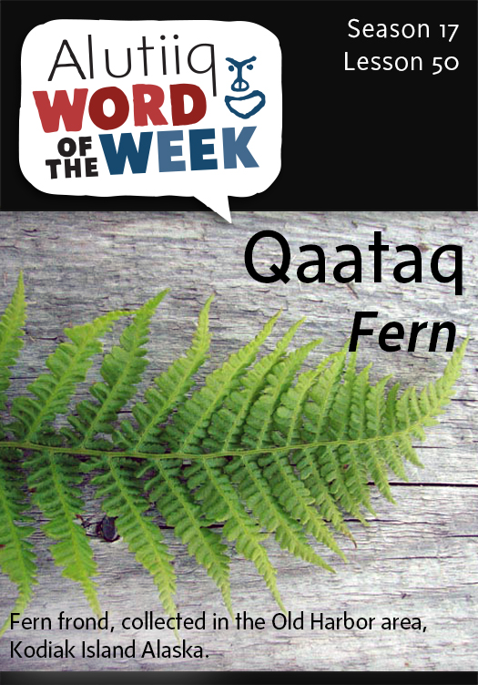 Fern-Alutiiq Word of the Week-June 7
