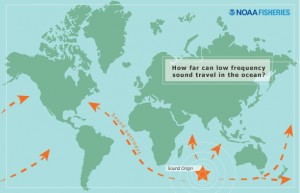 Sound emitted from Heard Island as part of an experiment conducted in the early 1990s was picked up at sites in the Northern & Southern Atlantic & Pacific Oceans as well as the Indian & Southern Oceans. NOAA