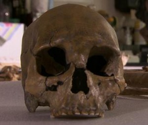 Skull of Kennewick Ma