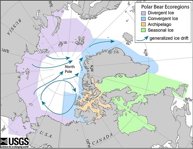 Greenhouse Gas Emissions Remain the Primary Threat to Polar Bears