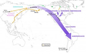 The migration route of Siberians into North America and the subsequent split into northern and southern Amerindian populations. Analysis of current and ancient genomes shows that there also was some later interbreeding between East Asians and Inuit.