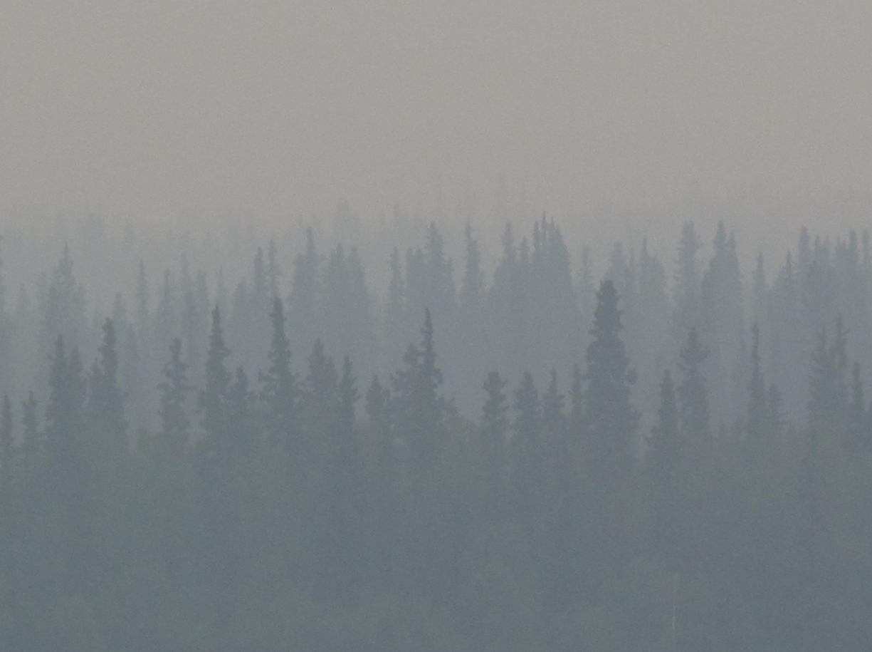 Alaska’s Wildfires and the Changing Boreal Forest