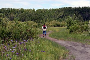 The Cottonwood Creek ATV Trail in the Palmer Hay Flats Game Refuge is now closed to motorized vehicles. Image-ADF&G