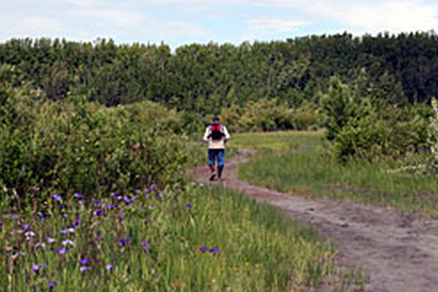 Habitat Concerns Prompt Restrictions on Cottonwood Creek ATV Trail