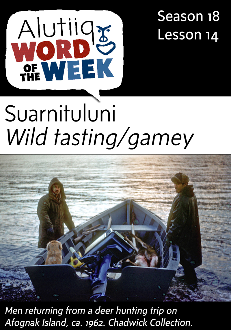 Wild Tasting/Gamey-Alutiiq Word of the Week-September 27th