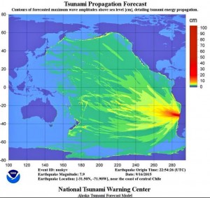 The National Tsunami Warning Centers tsunami forecast. Image-NOAA