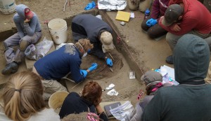 Image courtesy of Ben Potter, UAF Researchers work on excavation at the Upward Sun River site in Alaska.
