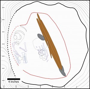 An illustration of an 11,500-year-old grave in central Alaska that contained a rare double burial of two infants dating to 11,500 years ago. Outlines of the two sets of remains are shown at left and center. Also found in the grave were a stone cutting tool, above center, and animal antlers with spear points, right of center. Photo credit: Ben Potter, University of Alaska Fairbanks