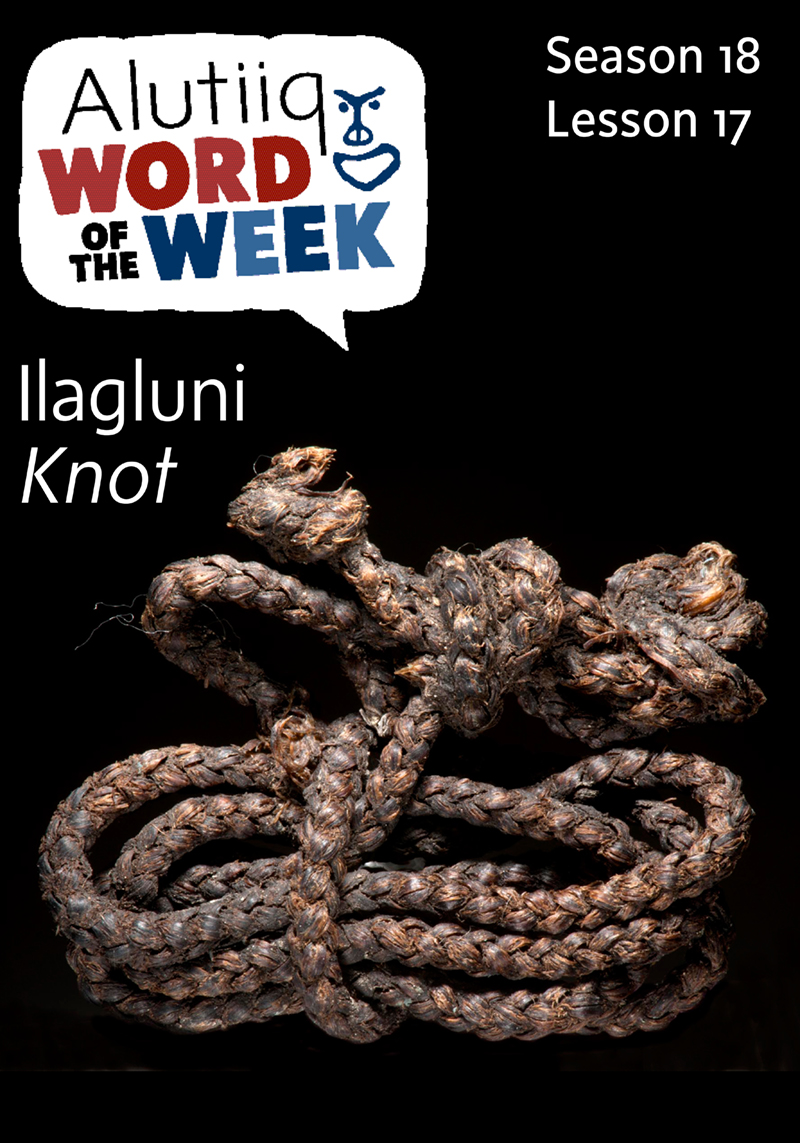 Knot-Alutiiq Word of the Week-October 18