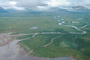 The Alec River draining into Black Lake on the Alaska Peninsula. About 300,000 sockeye salmon spawn in the Alec River and its tributaries annually, while retired Dolly Varden remain in the river year round.Morgan Bond