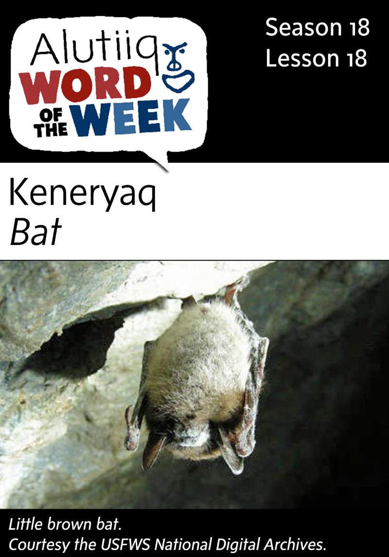Bat-Alutiiq Word of the Week-October 25