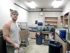 Aren Gunderson of the University of Alaska Museum in the odiferous space that houses millions of flesh-eating beetles used to prepare skeletons. Photo by Ned Rozell.