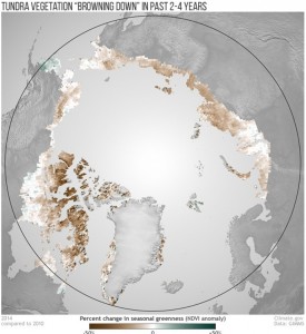 Arctic vegetation trends from 2010-2014. (Credit: NOAA Climate.gov image)