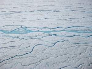 Meltwater rivers on the Greenland ice sheet. (Dirk van As, Geological Survey of Denmark and Greenland)