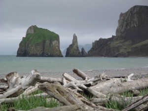 Bull Seal Point, on St. Matthew Island. Photo by Ned Rozell.