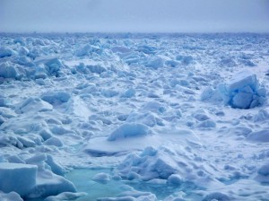 Sea ice floating off the coast north of Barrow. Photo by Ned Rozell.