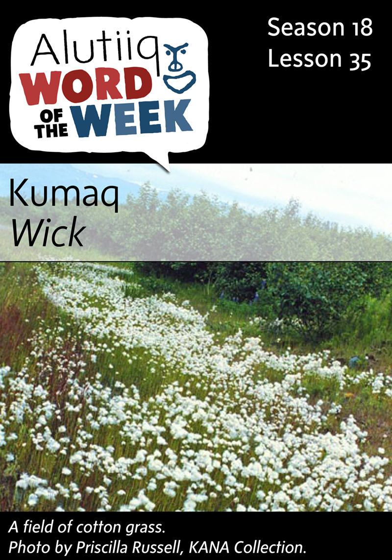 Wick-Alutiiq Word of the Week-February 21