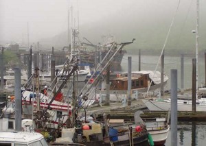 A small boat harbor in Dutch Harbor, Alaska. Image-NOAA Fisheries