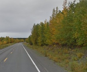 Trees often encroach on Alaska's highways creating hazards for motorists that inadvertently leave the roadway.