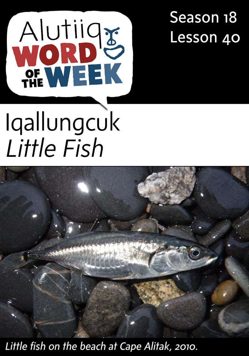 Little Fish-Alutiiq Word of the Week-March 28th