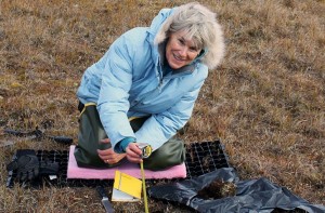 Los Alamos National Laboratory scientist Cathy Wilson measuring how soil properties change with depth at the DOE Next Generation Ecosystem Experiment, NGEE-Arctic, field site near Barrow, Alaska. Image-Los Alamos National Laboratory