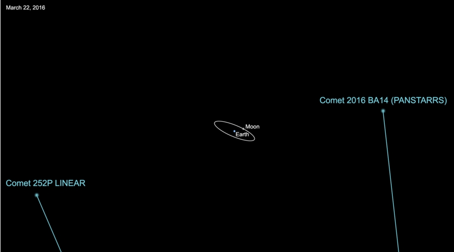 A ‘Tail’ of Two Comets