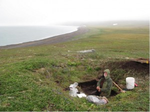 Archeologist Dennis Griffin examines the remains of a housepit from Thule-era people who lived briefly on St. Matthew Island in about 1650. Photo by Ned Rozell.