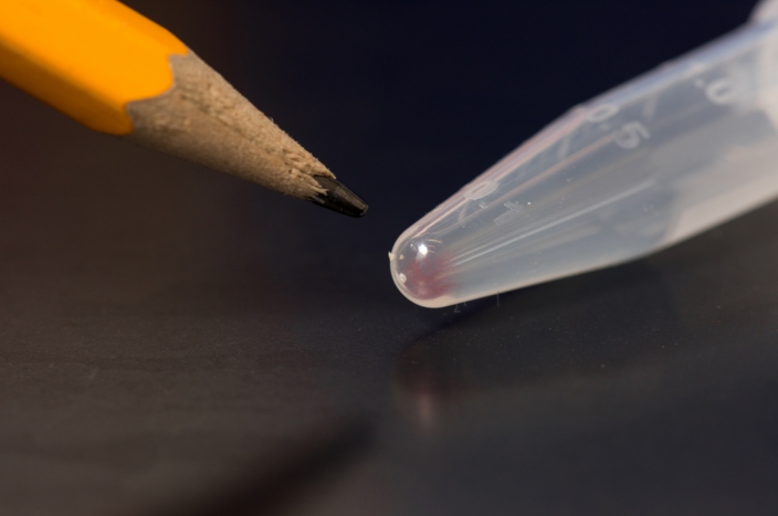 All the movies, images, emails and other digital data from more than 600 basic smartphones (10,000 gigabytes) can be stored in the faint pink smear of DNA at the end of this test tube.Tara Brown Photography/ University of Washington