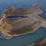 Spruce trees shaved off a peninsula within Taan Fiord by a landslide-generated wave last October. Photos courtesy Chris Larsen.