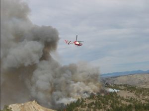 Bureau of Land Management conducting a prescribed burn. Image-BLM