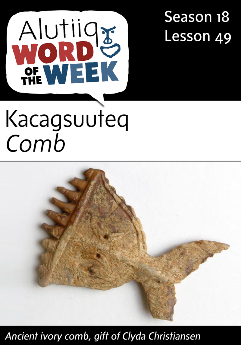 Comb-Alutiiq Word of the Week-May 29th