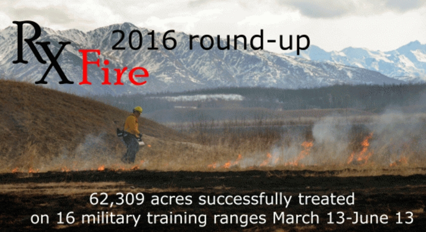 BLM, U.S. Army Implement Successful Prescribed Fire Projects