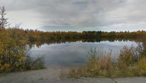 A 2-year-old toddler drowned in Bathing Beauty Pond aftert wandering away on Friday. Image-Google Maps