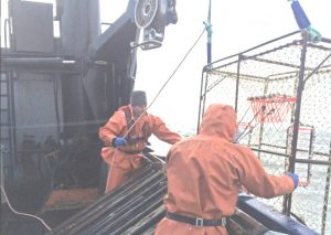 The Stimson crew inspecting cod pots. Image-OLE Enforcement Officer Noah Meisenheimer