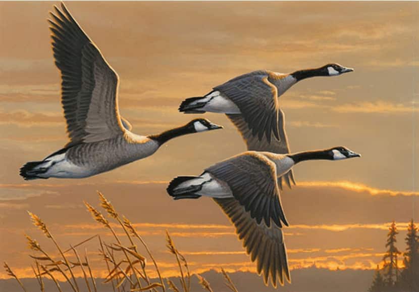 Minnesota Artist James Hautman Takes Top Honors in the 2016 Federal Duck Stamp Art Contest