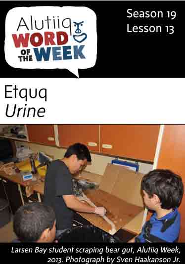 Urine-Alutiiq Word of the Week-September 25
